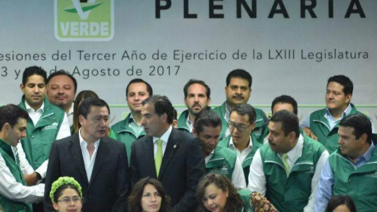 plenaria-verde 1